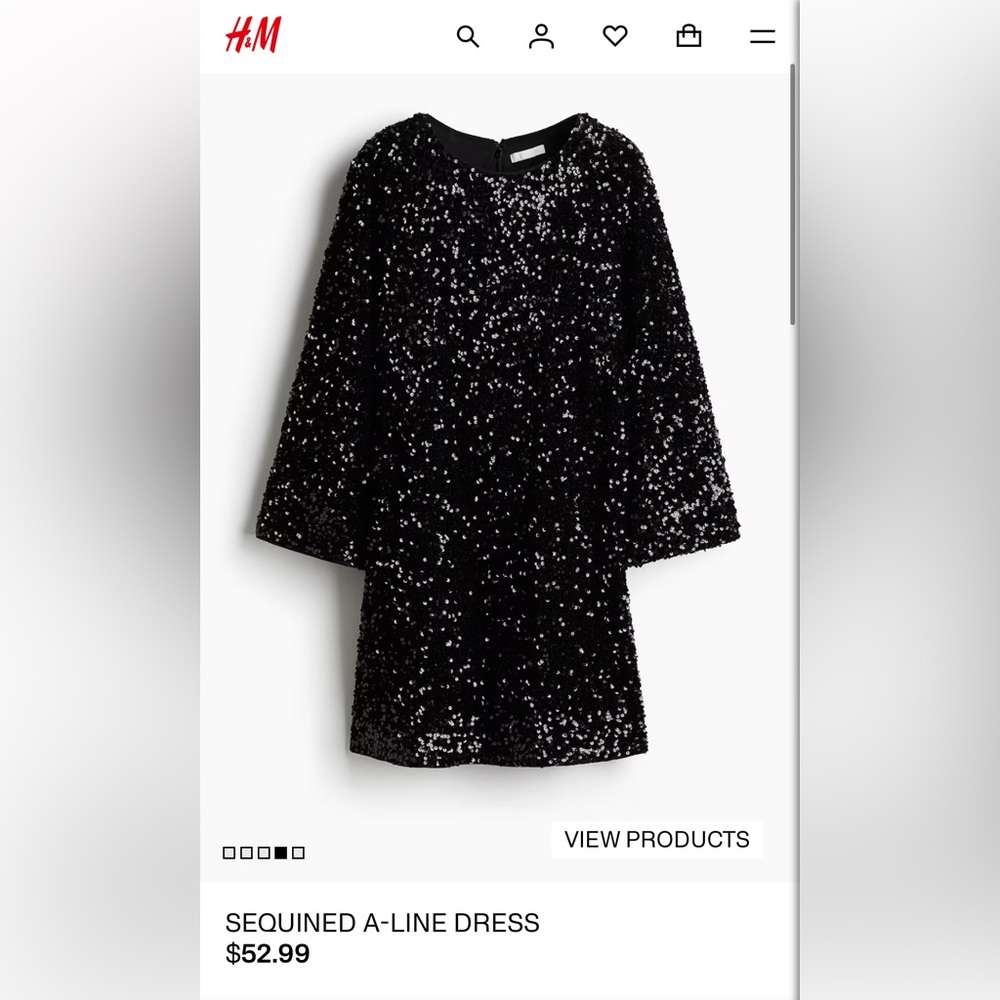 H&M Silver/Black Sequin Dress NWOT